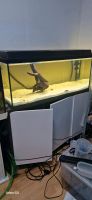 Aquarium mit Unterschrank. 160 Liter Becken mit abdeckung led Rheinland-Pfalz - Bornheim Pfalz Vorschau