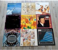 Schallplatten Vinyl Sammlung Konvolut 80er 90er Pop Rock Wave Nordrhein-Westfalen - Gütersloh Vorschau