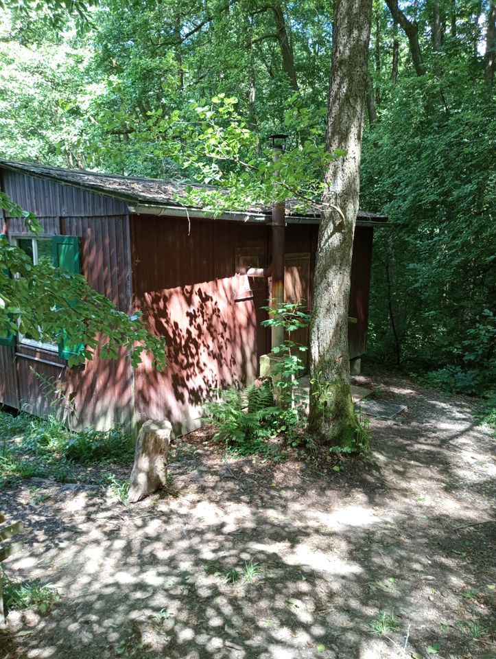 Jagdhütte, einsam, abgelegen Hütte, absolute Alleinlage im Wald in Oechsen