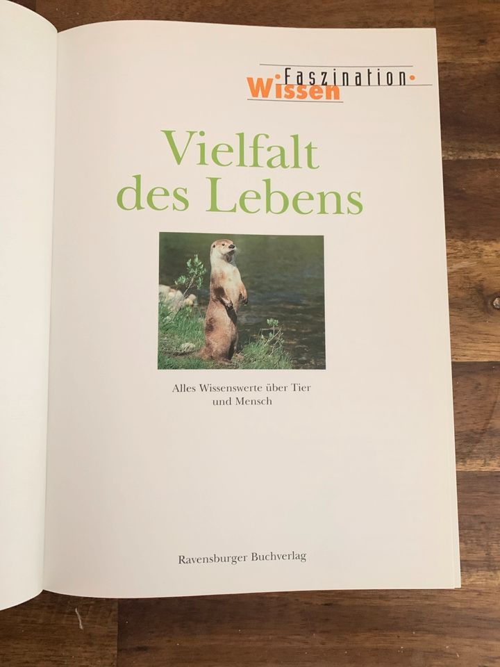 Buch: Vielfalt des Lebens in Illingen