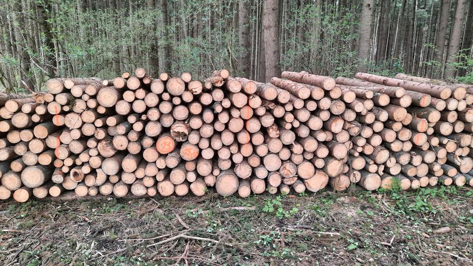 Brennholz Fichte 2m ab Waldweg in Dirlewang