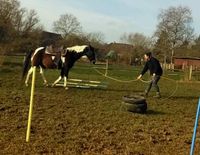 Natural Horsemanship Grundlagen mit Praxisteil Bodenarbeit Schleswig-Holstein - Lebrade Vorschau