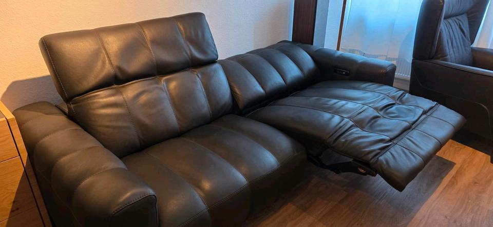 Natuzzi Edition Ledercouch 2 Jahre braun  230cm breit Braun Leder in Köln