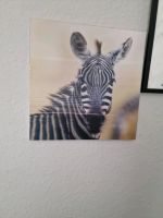 Wandbild Zebra Glas Essen - Essen-Katernberg Vorschau