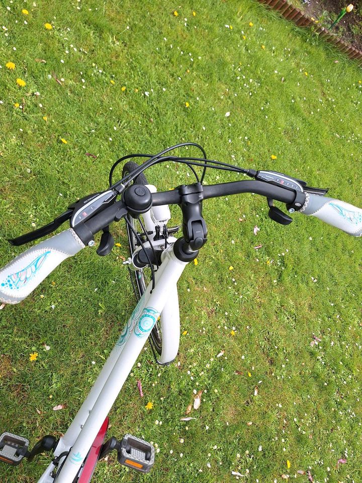 Kalkhoff Connect Lady 28" Damenfahrrad Citybike in Osterode am Harz