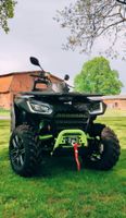 Segway Snarler 600 GL-D LOF schwarz-grün ATV Vorführmodell Mecklenburg-Vorpommern - Obere Warnow Vorschau