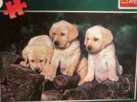 Puzzle 160 Teile neuwertig Hunde Welpen Golden Retriever Labrador Nordrhein-Westfalen - Velbert Vorschau