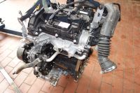 Ford Fiesta MK8 VIII Motor Duratec ecoboost 52Kw 71Ps 26Tkm Bj.19 Nordrhein-Westfalen - Mülheim (Ruhr) Vorschau