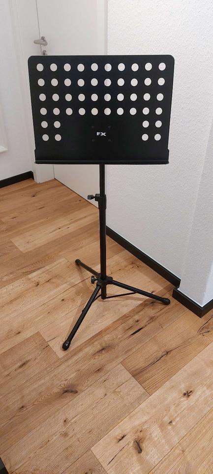 Guitarre Tenson - Classic Student Series 4/4 mit viel Zubehör in Hildesheim