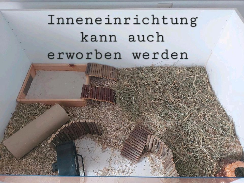 Hamsterkäfig Marke Eigenbau sehr gross inkl. Streu in Singen