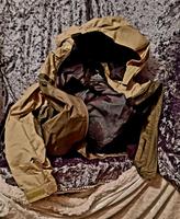 Sehr Leichte Coole Wind-Regenjacke von VAUDE*Neu Brandenburg - Senftenberg Vorschau