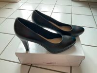 Sexy Stöckelschuhe, Leder, High Heels, Absatz 9cm, schwarz Dresden - Dresdner Heide Vorschau