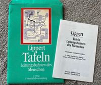 Anatomie, Lippert Tafeln, Leitungsbahnen des Menschen, 2. Auflage Bochum - Bochum-Nord Vorschau