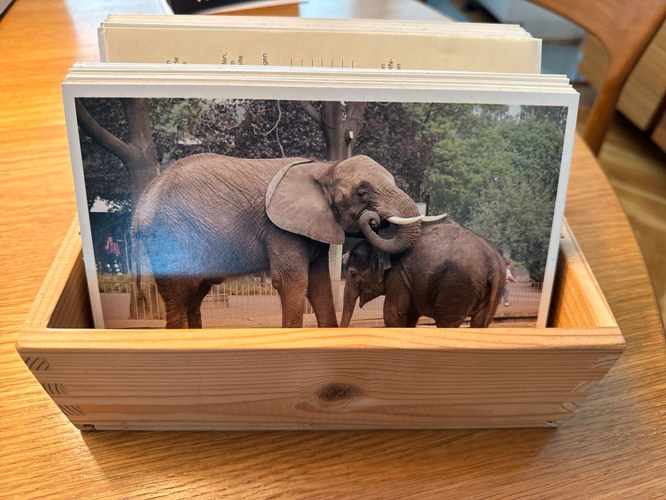 Unterrichtsmaterial Zoo Grundschule in Düsseldorf