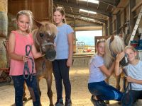 Pony Patenschaft Baden-Württemberg - Friesenheim Vorschau