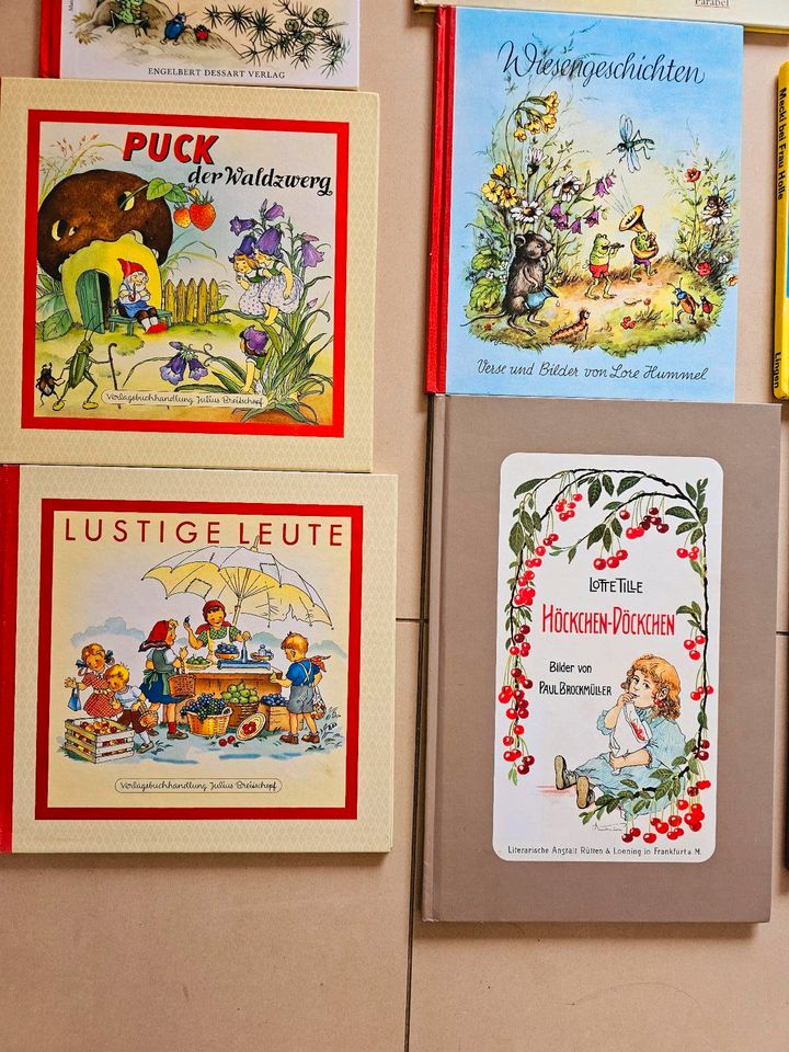 Retro Buch Kinder mecki puck häwelmann Heinzelmännchen Vogelhochz in Bergisch Gladbach