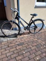 Damen- Fahrrad der Marke FOCUS Bayern - Hof (Saale) Vorschau