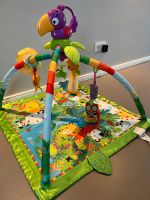 Mattel Fisher Price Rainforest Erlebnisdecke Spielebogen Brandenburg - Ketzin/Havel Vorschau