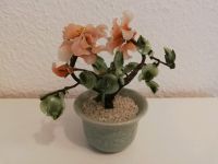 Japan Bonsai Glas Jade Kirschblüte 15 cm Rostock - Dierkow Vorschau