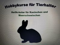 Hobbykurs für Tierhalter HEILKRÄUTER FÜR KAN. und MEERSCHWEINCHEN Hessen - Lampertheim Vorschau