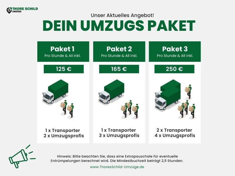 Mini-Umzug oder Transport - Ab 2 Std. inkl. Umzugshelfer & Transporter / Lkw Hamburg IKEA in Hamburg