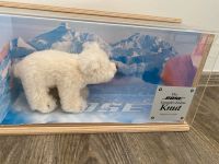 Steiff Sammler Eisbär Knut (Original Bose) Nordrhein-Westfalen - Ennigerloh Vorschau