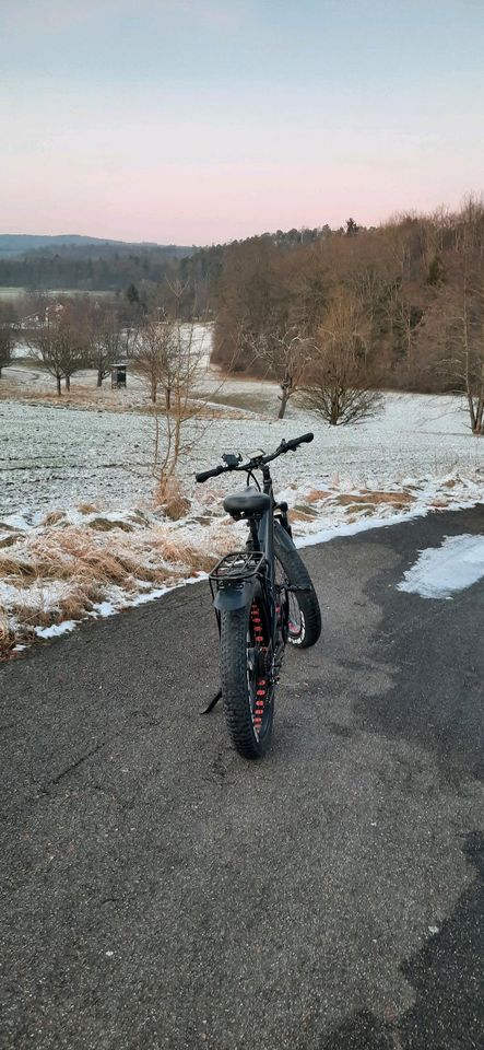 Fat E-bike KS26 Alu 26" Zoll Elektrofahrrad in Filderstadt