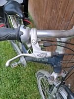 Damenfahrrad inklusive Römer Kindersitz Jockey comfort Baden-Württemberg - Helmstadt-Bargen Vorschau