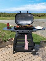 BUSCHBECK X-Grill 3-Brenner Gasgrills               UVP: 499,99 € Baden-Württemberg - Lauchringen Vorschau