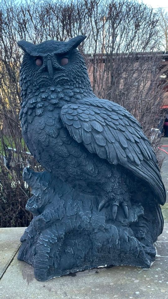 XL Eule 56cm 50kg UHU Eulen Schleiereulen Kautz Schneeeule Adler in Schönefeld