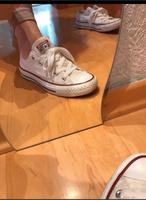 Chucks weiß Damen Größe 36,5 Bayern - Bamberg Vorschau
