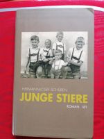 Hermann Josef Schüren  Junge Stiere Nordrhein-Westfalen - Windeck Vorschau