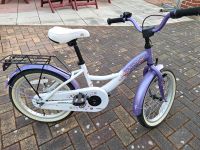 Kinderfahrrad 18 Zoll Brandenburg - Neuhausen/Spree Vorschau