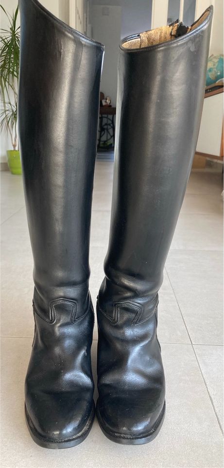 Reitstiefel Größe 38 mit Zubehör, Cavallo Lederreitstiefel in Nienberge