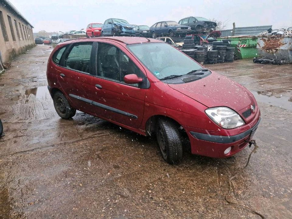 Renault Scenic 1,6 Motorhaube, Scheinwerfer, Kotflügel, Stoßstang in Oranienbaum-Wörlitz