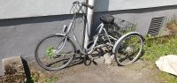 Vermeiren 24 Zoll Dreirad Fahrrad Duisburg - Meiderich/Beeck Vorschau