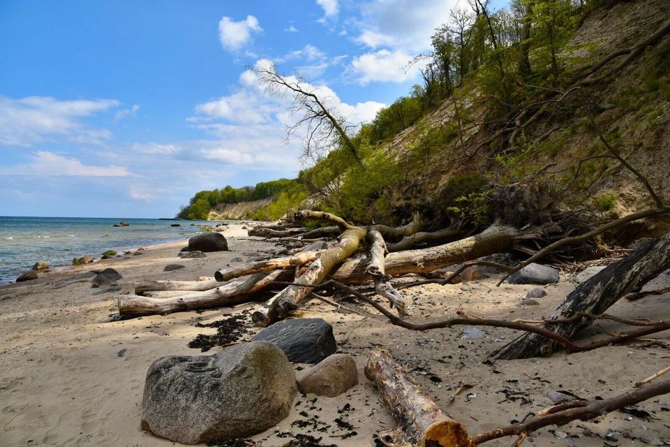 Ferienhaus Rügen Urlaub 4 Schlafzimmern, BehWhirlpSauna und Kamin in Poseritz