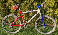 Fahrrad Mountainbike Corratec Freeride Expert 26 Zoll Bayern - Wehringen Vorschau