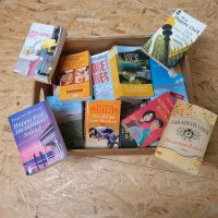 1 Karton mit Büchern, Romane Nordfriesland - Bredstedt Vorschau
