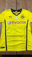 BVB Trikot (Größe M) Oliver Kirch (71. DFB-Pokalfinale) Baden-Württemberg - Freiberg am Neckar Vorschau