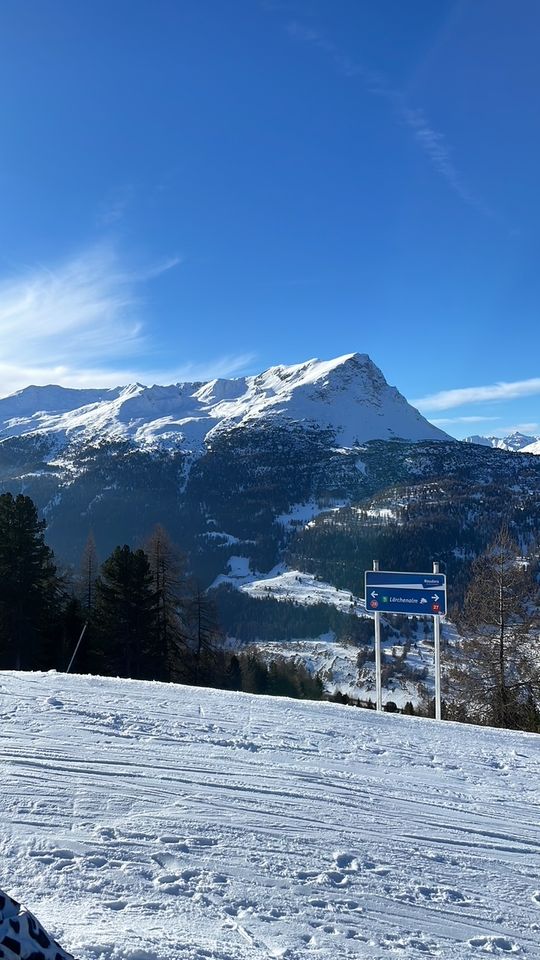 Drei Länder ein Urlaub-Ferienwohnung mit Hund in Österreich Tirol in Carlsberg