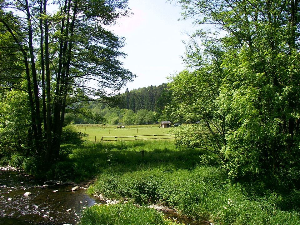 Ferienhaus Blockhaus Bluhmki in Hahn bei Marienberg