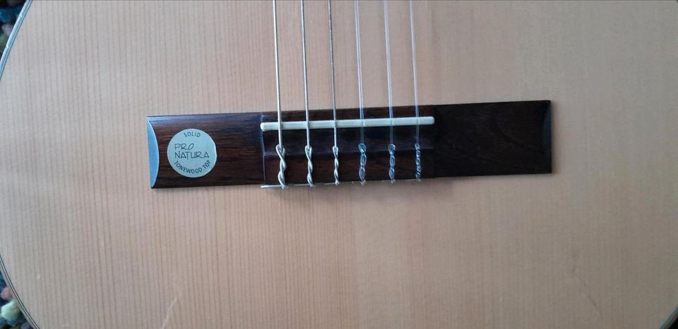 Gitarre - Pro Patura - silver series - maple 1/2 in Ibbenbüren