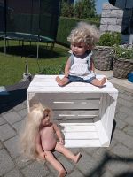Baby Born sister / Puppe mit langen haaren Niedersachsen - Georgsmarienhütte Vorschau