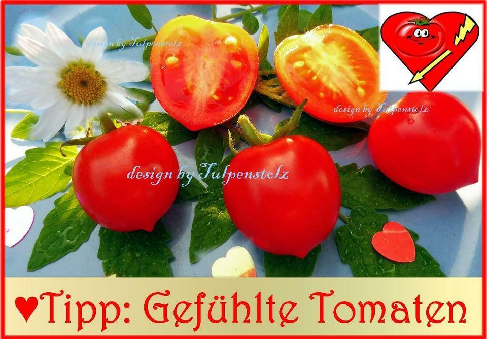 ♥ Tomaten Kleiner Herzensbrecher Samen Garten Rarität Alte Sorte in Hamburg