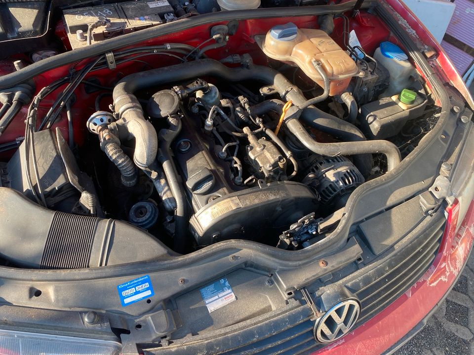 VW Passat 3B 1.9 TDI Antriebswellengelenk defekt in Bad Dueben