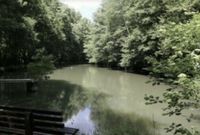 Suche Fischteich Teich Wiese in oder bei Allerbüttel / Calberlah Niedersachsen - Calberlah Vorschau