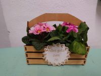 Holzkorb perfekt für Blumen oder als Geschenkkorb 22x18x15cm Nordrhein-Westfalen - Bad Laasphe Vorschau