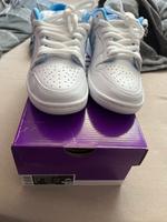 Nike Dunk low Pro Nicole Hause Thüringen - Nordhausen Vorschau