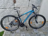 Sarious Rockaway MTB-Fahrrad 29 Zoll Bayern - Hebertsfelden Vorschau